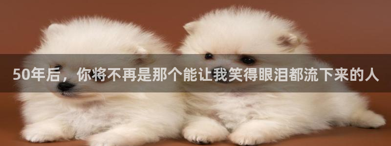泰达娱乐网页版登