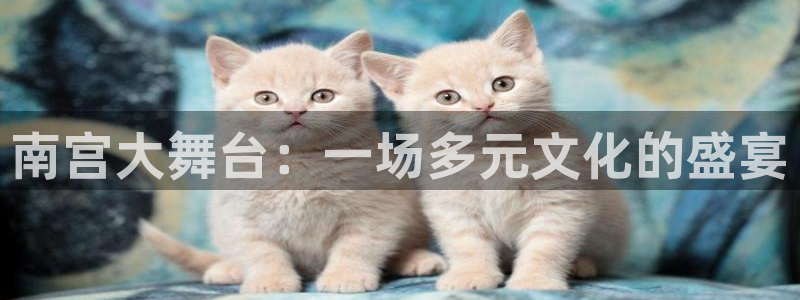 泰达娱乐平台官网入口