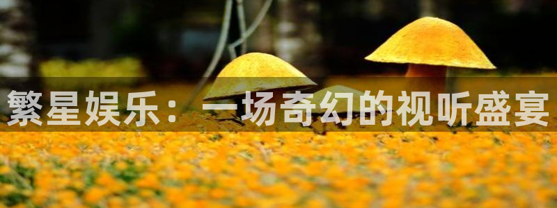 壹号大舞台有梦你就来