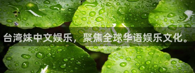 泰达娱乐苹果手机下载链接