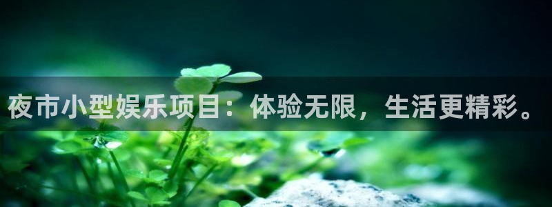 泰达娱乐app下载