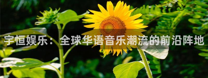 泰达娱乐app官网下载