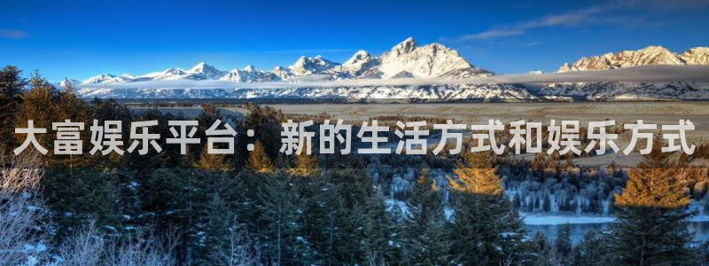 泰达娱乐平台管网入口