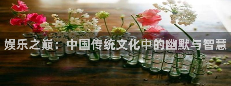 泰达娱乐