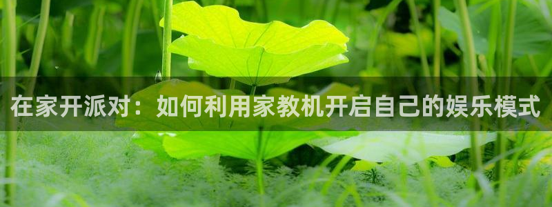 泰达娱乐平台官方入口下载