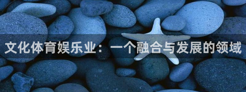 壹号电子娱乐app下载最新版本安装