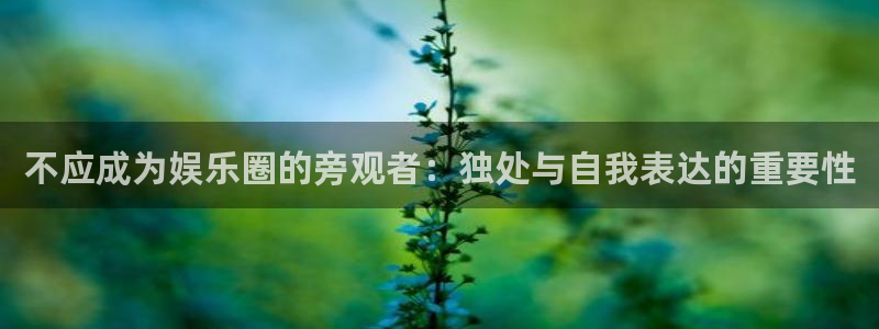 泰达娱乐com