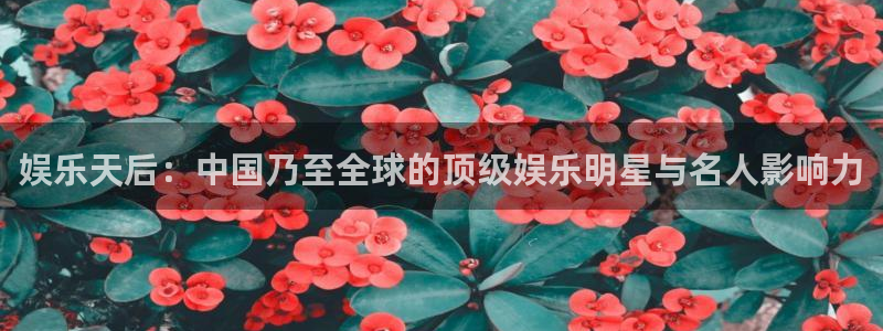 泰达娱乐怎么下载：娱乐天后：中国乃至全球的顶级娱乐明星与名人影响力