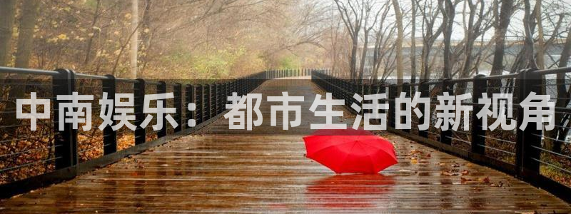 泰达娱乐强制退款流程详解：中南娱乐：都市生活的新视角