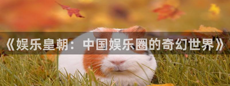 泰达娱乐app入口：《娱乐皇朝：中国娱乐圈的奇幻世界》