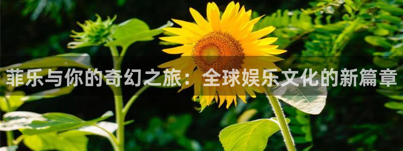 壹号app官网