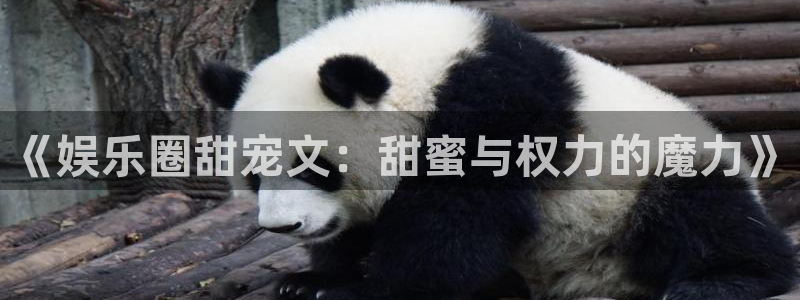 泰达娱乐官方app下载安装