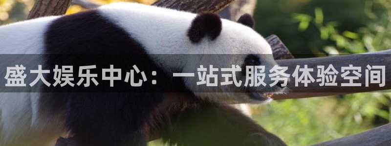 泰达娱乐ccmpc麻将胡了：盛大娱乐中心：一站式服务体验空间