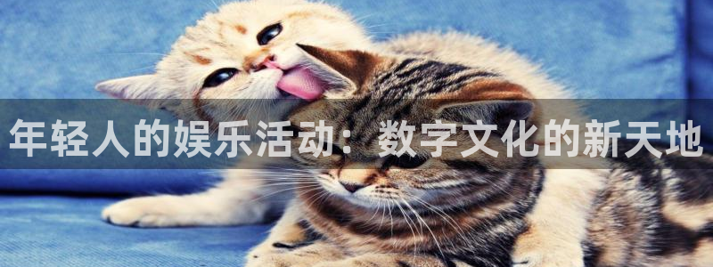 泰达娱乐平台登录：年轻人的娱乐活动：数字文化的新天地