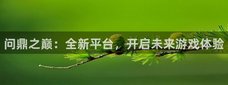 壹号官网app下载安装：问鼎之巅：全新平台，开启未来游戏体验
